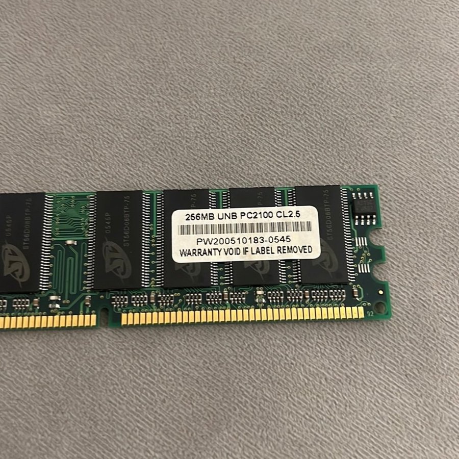 256 MB RAM minne Selectra