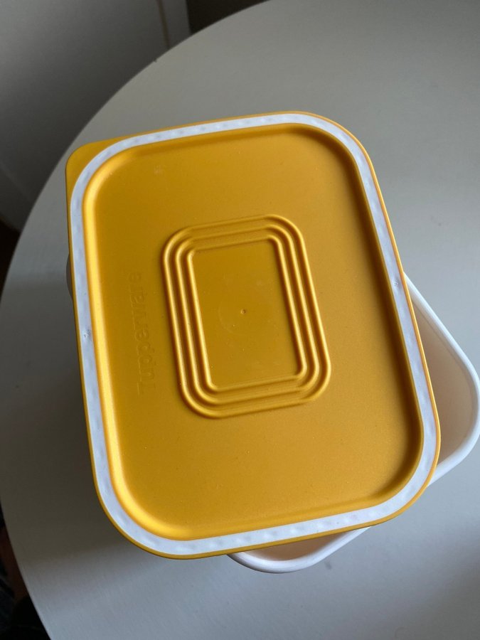 NyTupperware Optimum.Förvaringslåda med lock.