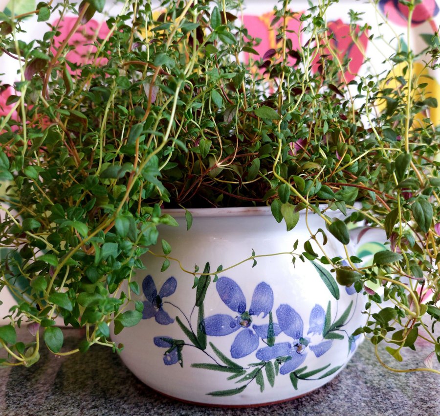Blom+vits-potta underbart sommar blommiga Laholm keramik Retro