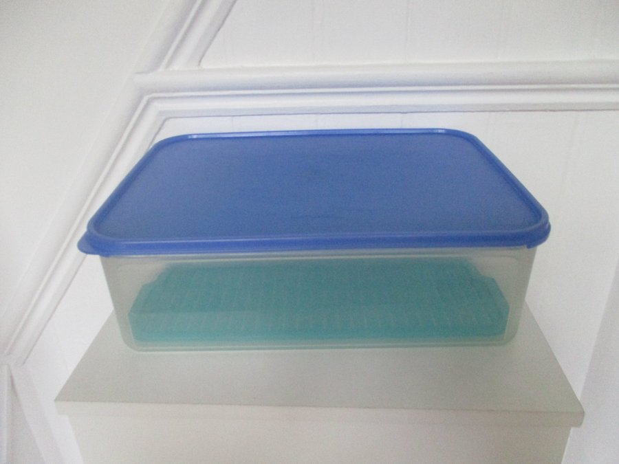 Megastor 94 liter Tupperware förvaring grönsakslåda / fryslåda med galler