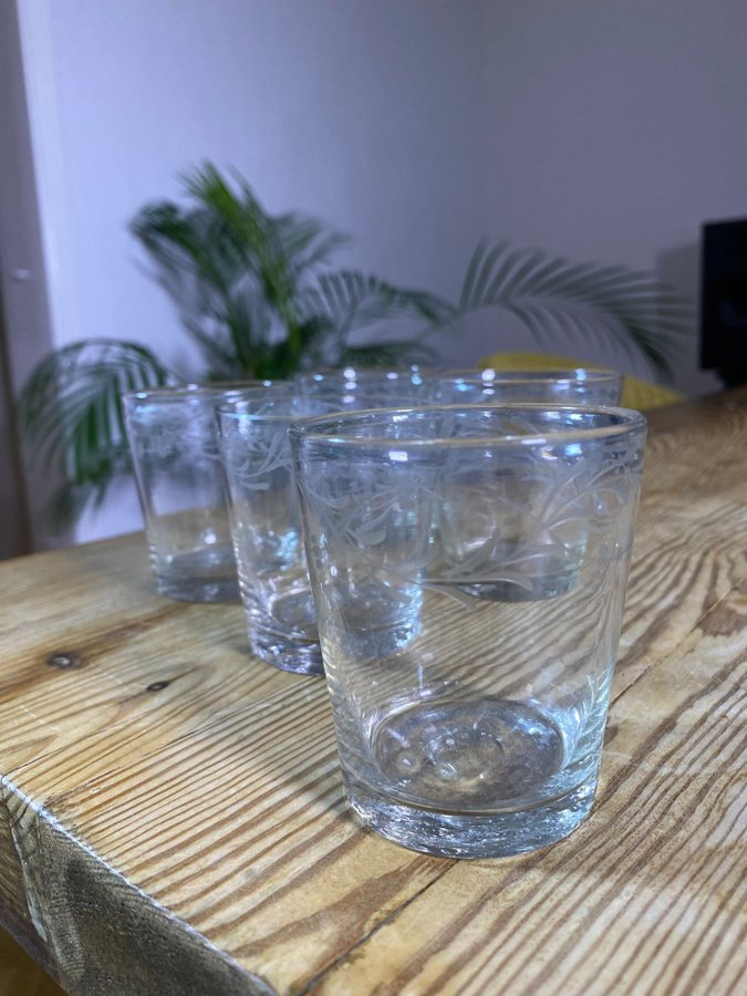 Glas handblåsta med kasad dekor empirestil 5 st