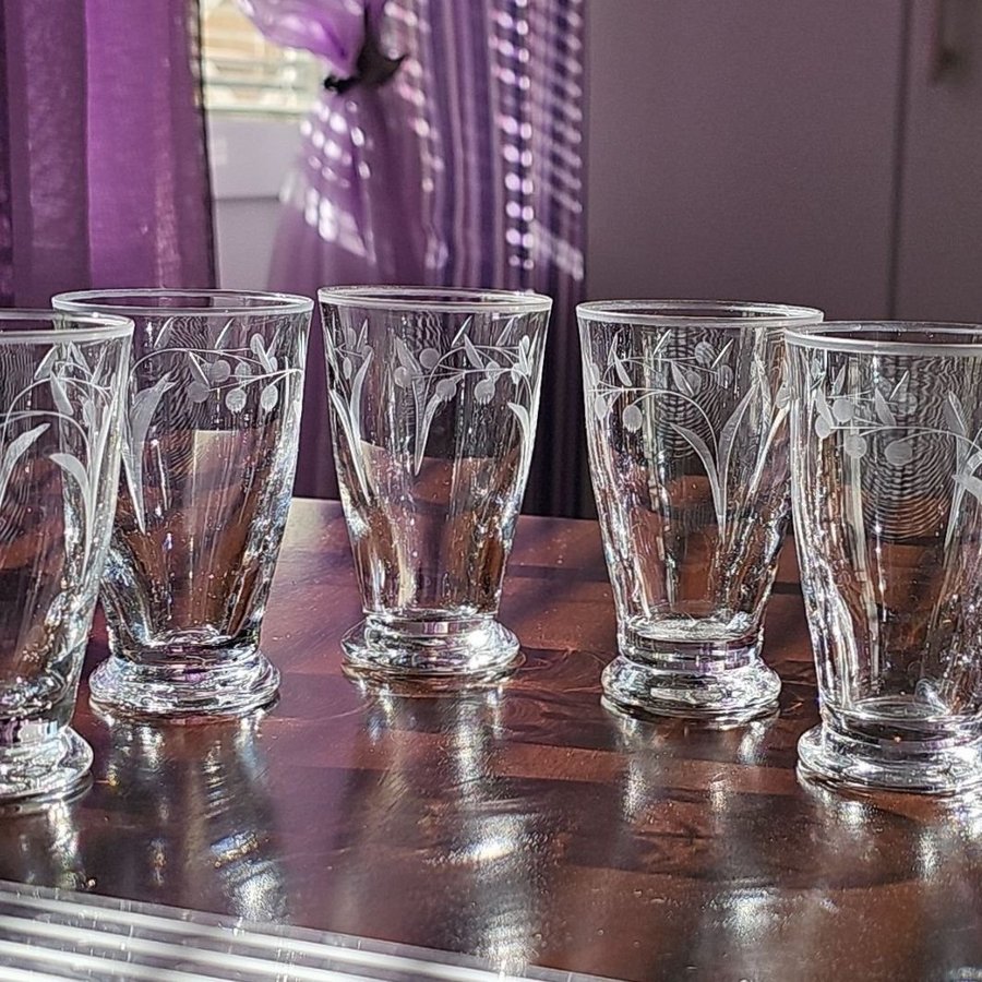 5 st retro selterglas med frostad dekor vintage fantastiskt fin riktig retro