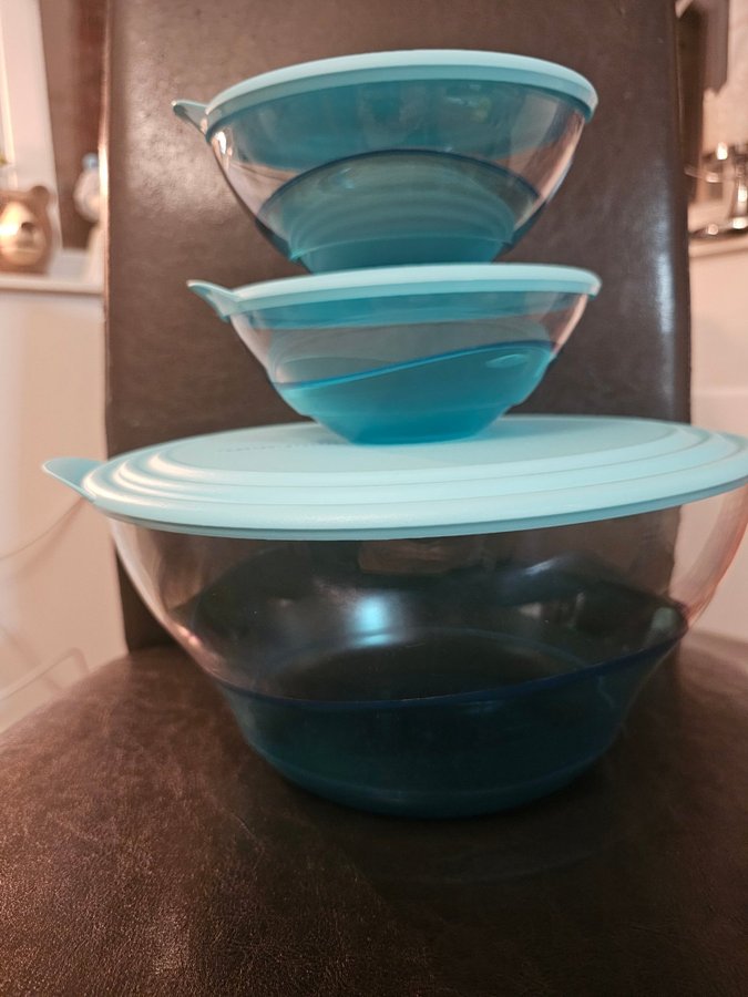 Nytt Tupperware Elegance sett