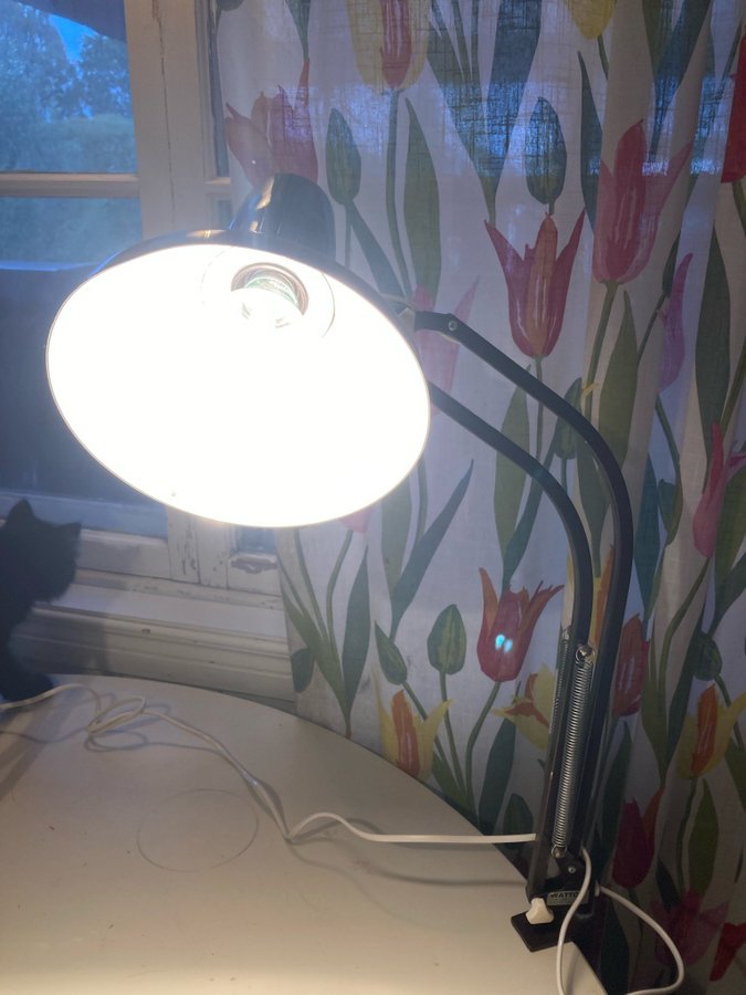 Bordslampa m skruvfäste