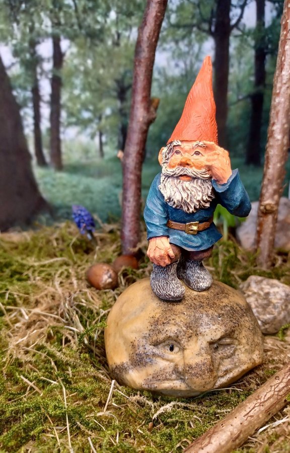 Gnomes, Tomtar, Rien Poortvliet