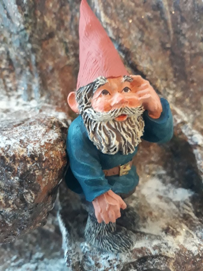 Gnomes, Tomtar, Rien Poortvliet