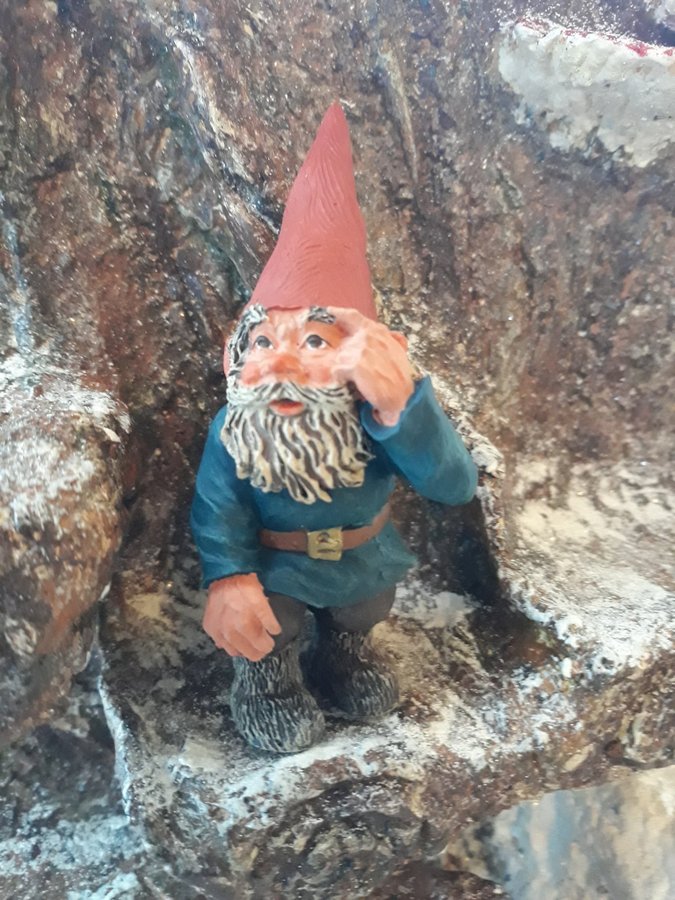 Gnomes, Tomtar, Rien Poortvliet