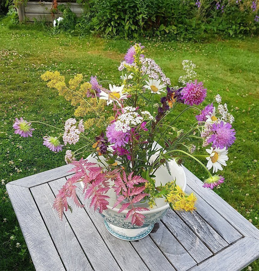 Blomsterfakir Avlång 86mm Svart