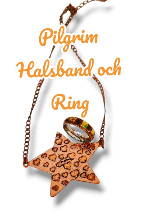 Pilgrim Halsband och 1 Ring ( Vintage PILGRIM Danish Design )