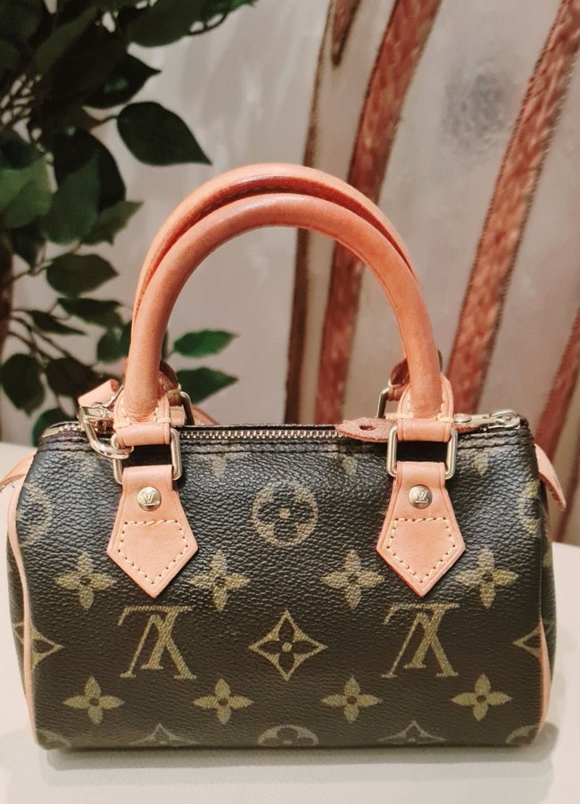 Louis vuitton Nsno speedy mini HL NM