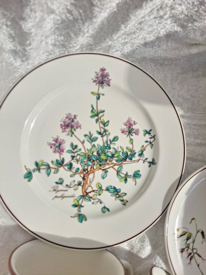 Tre stycken Villeroy  Boch "Botanica" koppar med 3 fat samt 2 assietter