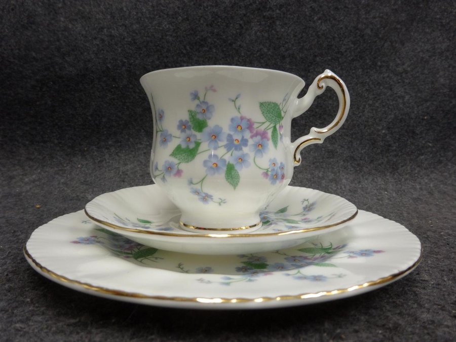 Kaffekopp med Fat Assiett Forget Me Not Paragon Fine Bone China England