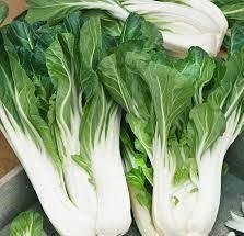 Sallat Joi Choi F1 Brassica chinensis 50 frön