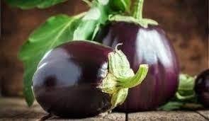 Aubergine Black Beauty 10 frön