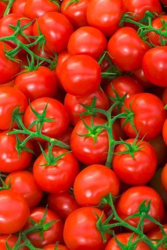 Tomat Morning låg upp till 20 kg tomater på en planta/ säsong  8 frön