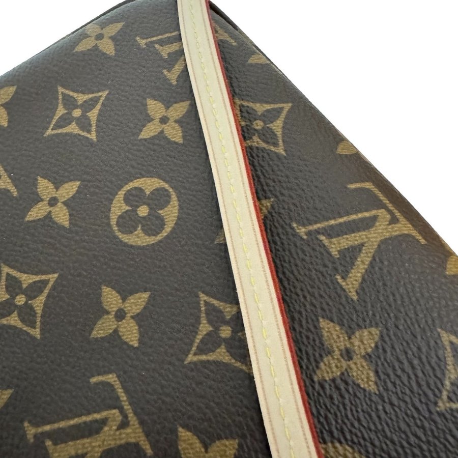 Louis Vuitton Pochette Accessoires NM Monogram Bag