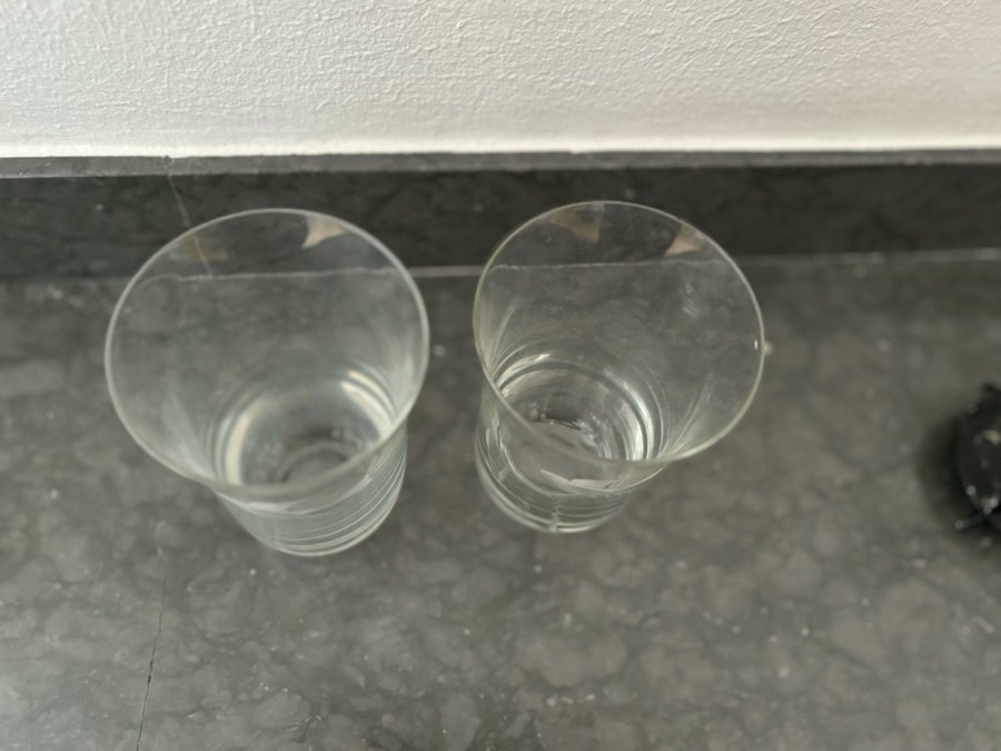 2 st glas med fågelmotiv