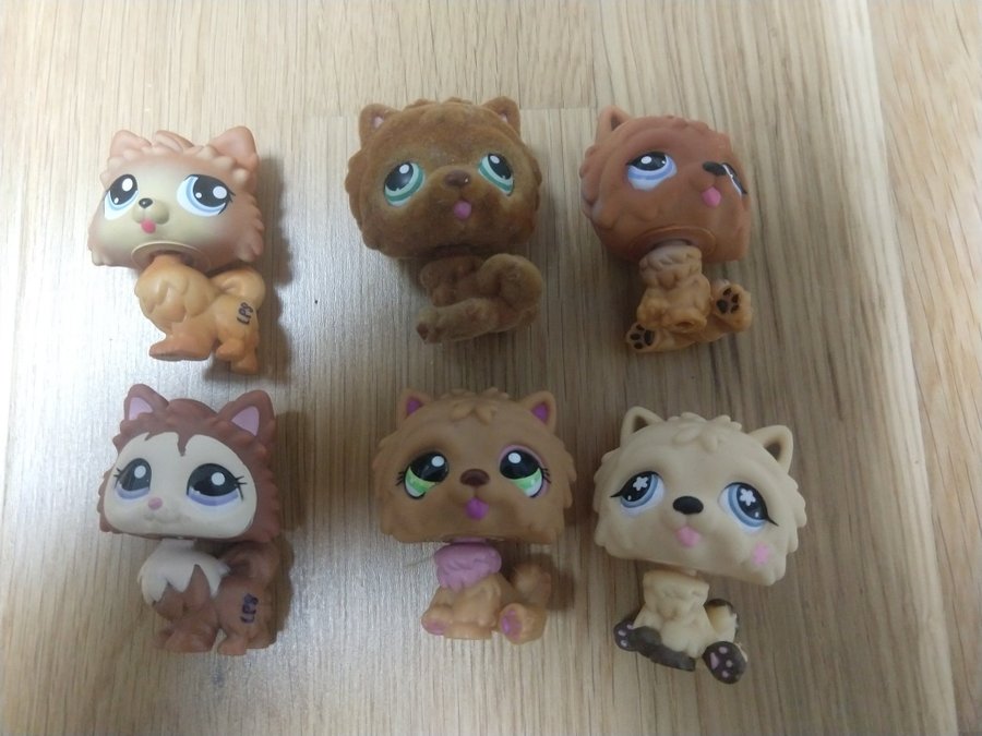 6 sällsynta Littlest Pet shop hundar Petshop Lps