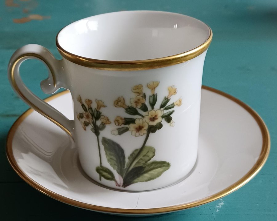 SVENSKA LANDSKAPSBLOMMOR GULLVIVA KAFFEKOPP