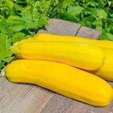 Squash/zucchini ´Goldena F1´ 5 frön