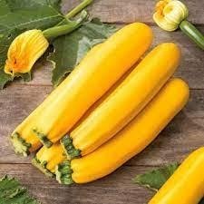 Squash/zucchini ´Goldena F1´ 5 frön