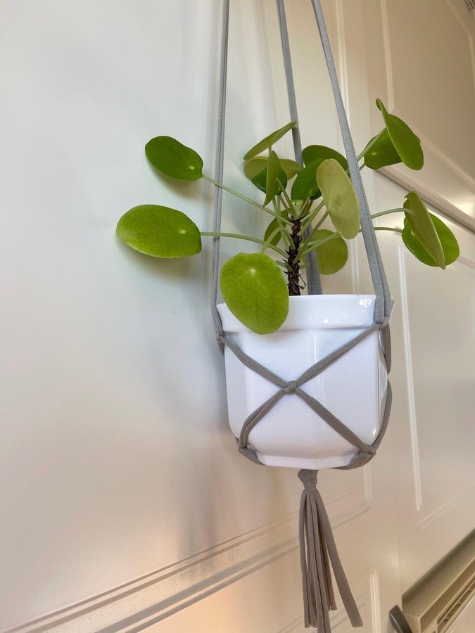 Fyra styck gråa Amplar för blomkrukor makramé Hanger för plants (13-15 cm)