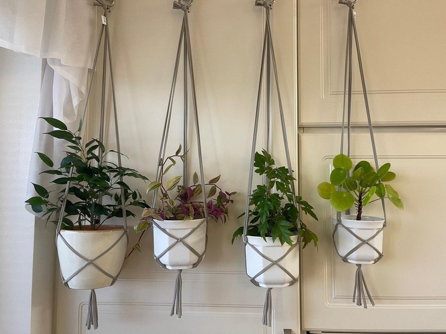 Fyra styck gråa Amplar för blomkrukor makramé Hanger för plants (13-15 cm)