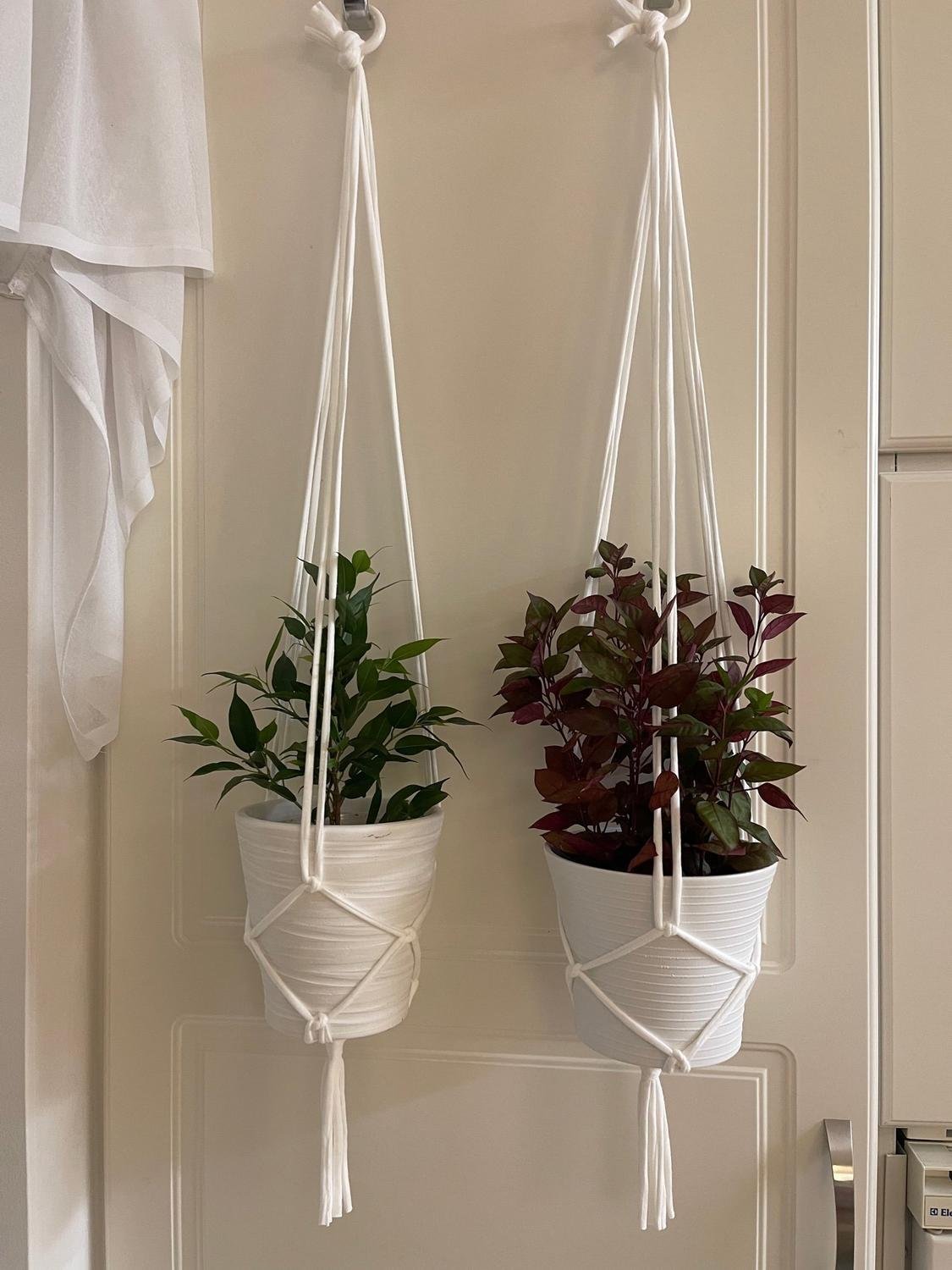 Vita Amplar för blomkrukor Hangers för plants (10-12 cm)