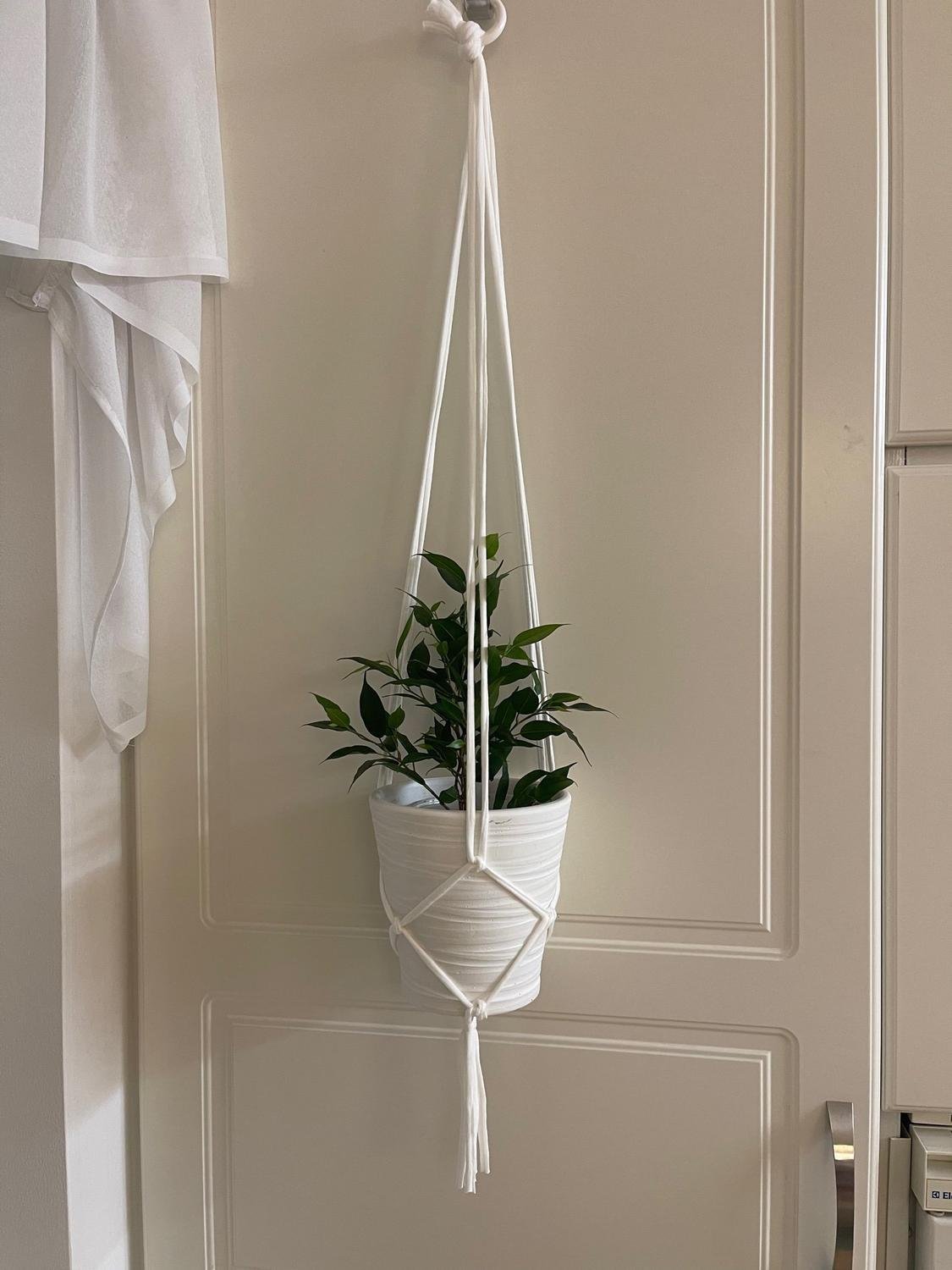 Vita Amplar för blomkrukor Hangers för plants (10-12 cm)