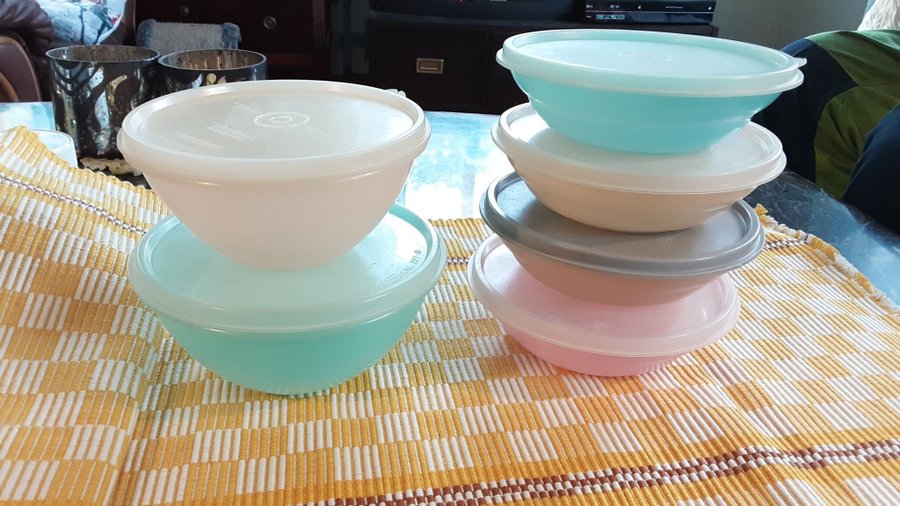 FYNDA ! Tupperware Frysset Blåbär Hallon björnbär mm 6 frysburkar RETRO