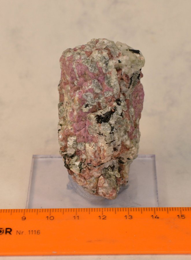 Eudialyt med Arfvedsonit i Hackmanit (Eudialyte with Arfvedsonite in Hackmanite)