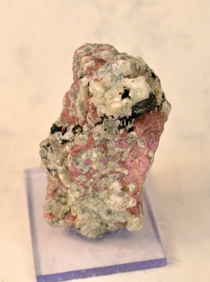 Eudialyt med Arfvedsonit i Hackmanit (Eudialyte with Arfvedsonite in Hackmanite)