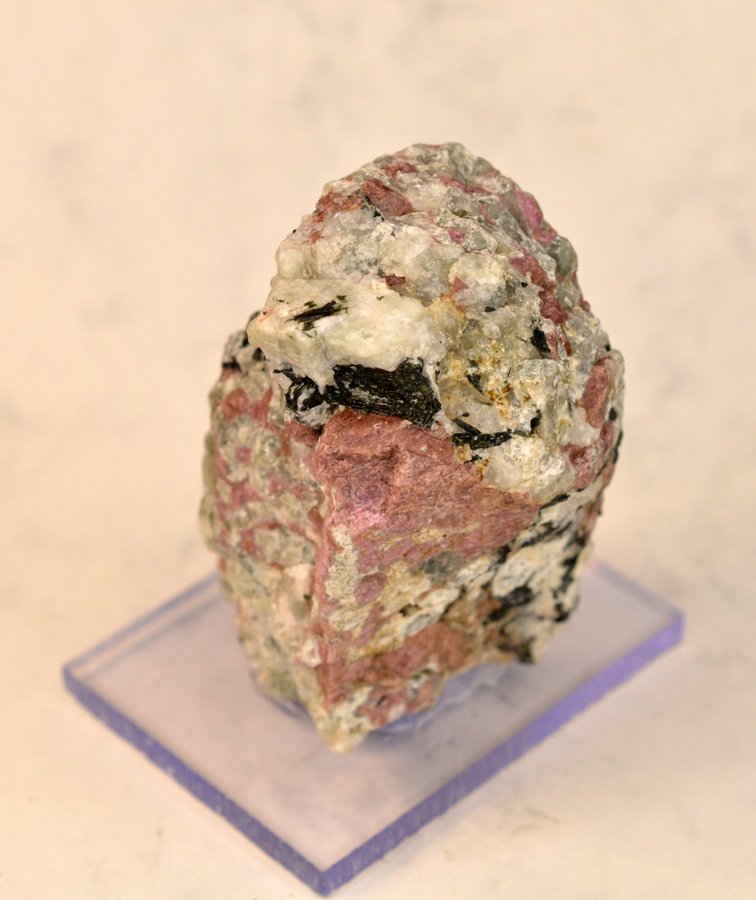 Eudialyt med Arfvedsonit i Hackmanit (Eudialyte with Arfvedsonite in Hackmanite)