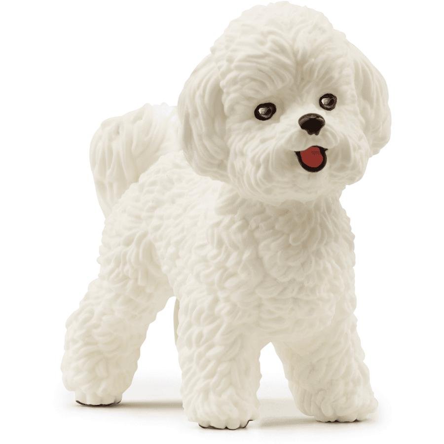 Schleich - Bichon Frisé 13963