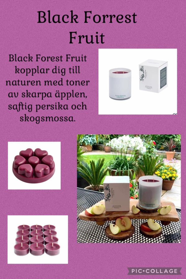 PartyLite Teljus 12 pack - Black Forest Fruit