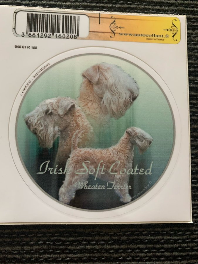 Rund klisterdekal - Irish softcoated wheaten terrier