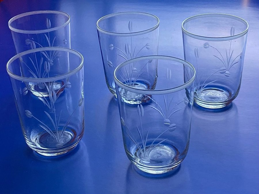 5 st slipade selterglas vattenglas glas från svenskt glasburk Åfors?