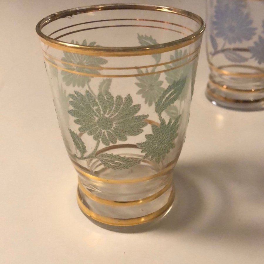 Två vintage retro dricksglas med guldränder och frostade blommor i pastellfärger