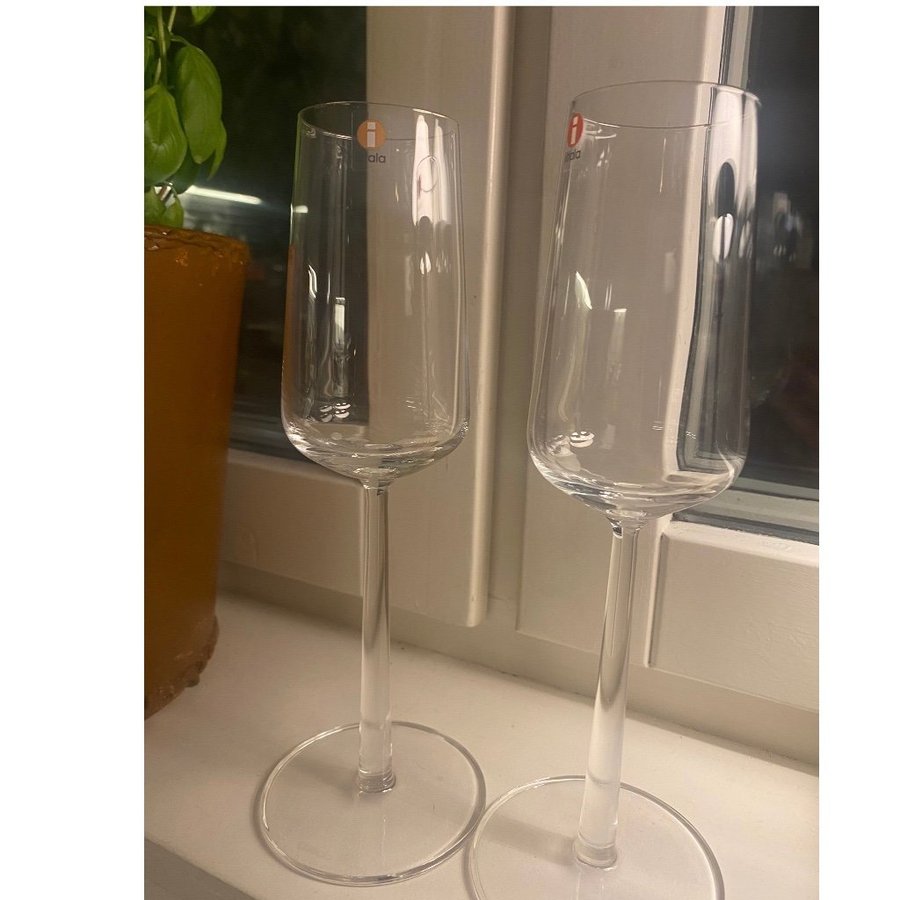 Iittala 8 st champagneglas