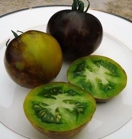 Tomat MUDDY WATERS  höjd ca 150 cm fruktvikt 150-220 g 6 frö