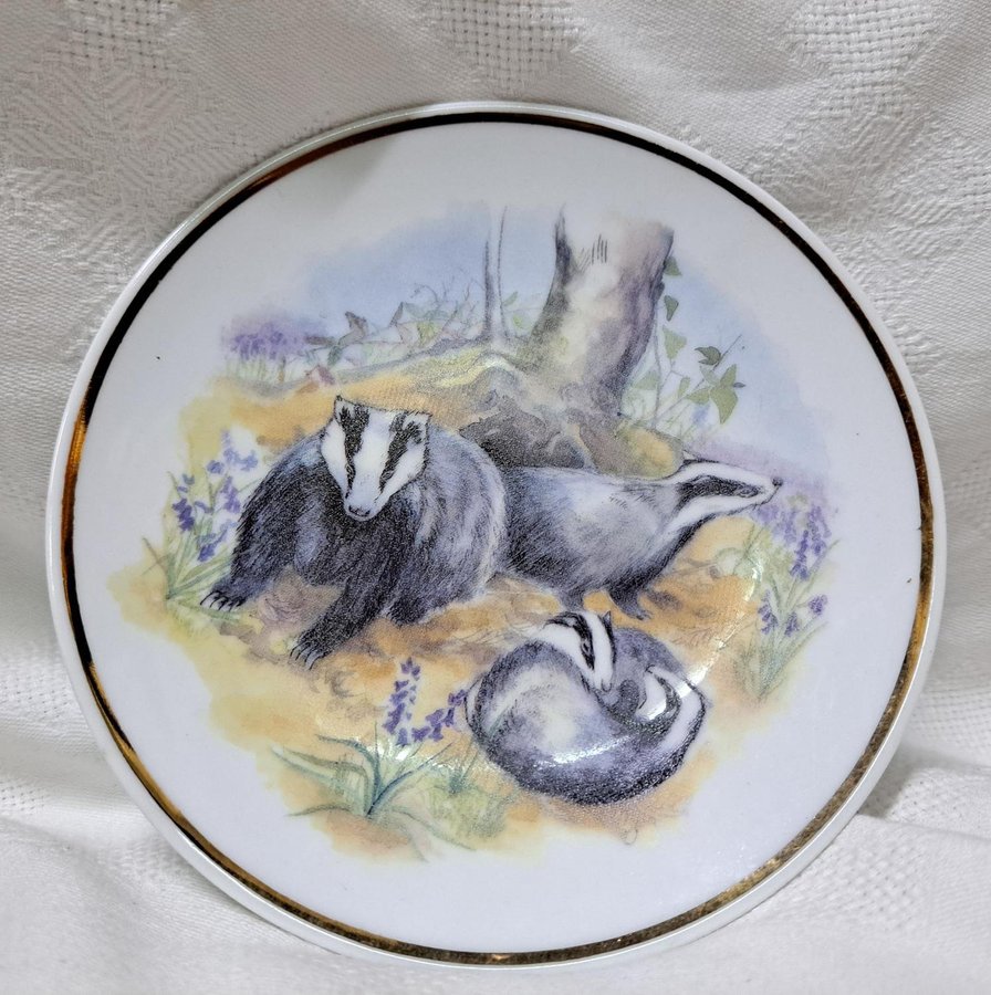 Decorative plate - Susan Beresford Wildlife of Britain - BADGERS