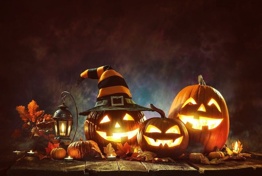 Halloween Pumpa Jack O`Lantern 4-10 kg krypande växtsätt 4 frön