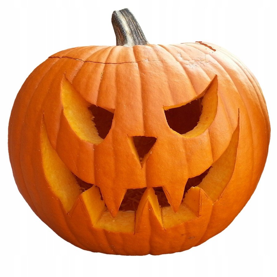 Halloween Pumpa Jack O`Lantern 4-10 kg krypande växtsätt 4 frön