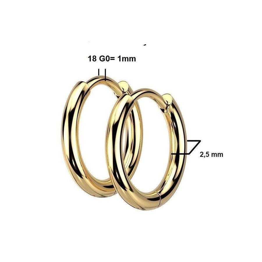 REA___REA___1 Par 17 mm Hoops örhängen i 316L stål