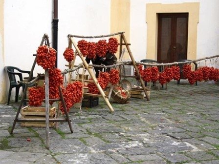 Tomat Piennolo del Vesuvio h ca 200 cm ca 30 g kan lagras i flera mån 6 frö