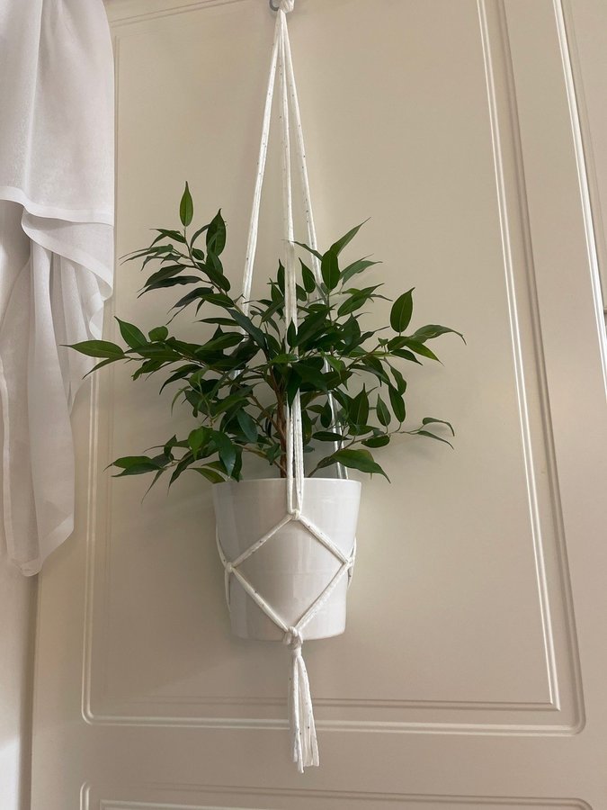 Prickig Vit ampel för blomkruka  plants hanger makramé växter (13-15 cm)