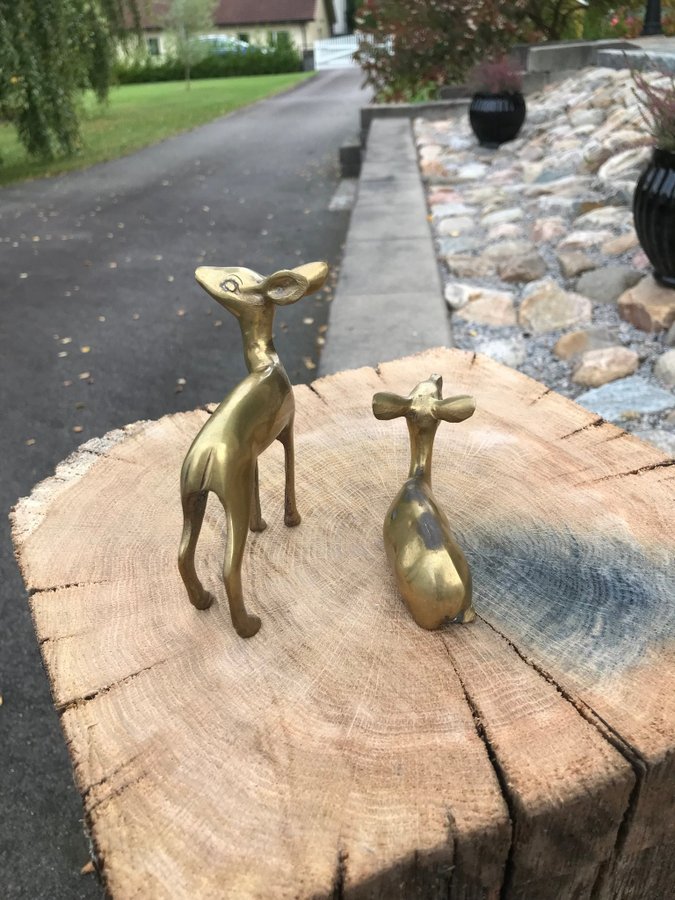 Rådjur i mässing, Bambi