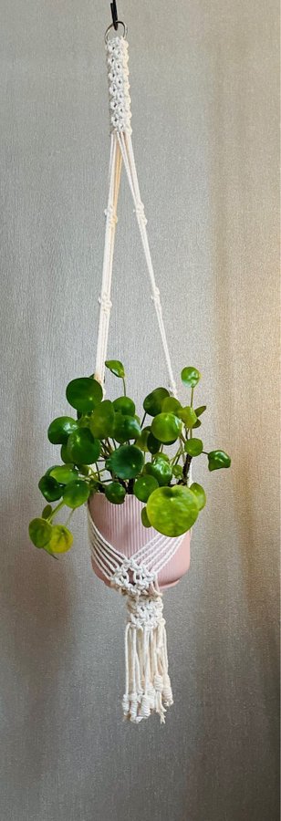 Ampel i makramé /plant hanger/ inredning med växter