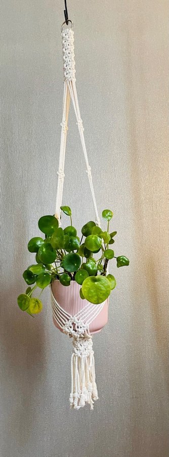 Ampel i makramé /plant hanger/ inredning med växter