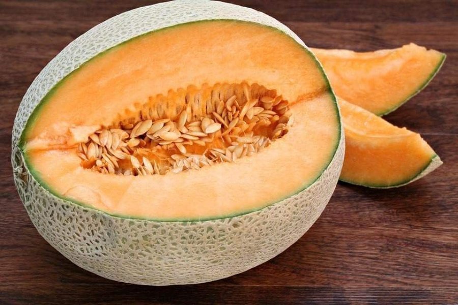 Melon Hale`s Best Jumbo frukt 15-2 kg 4 frön